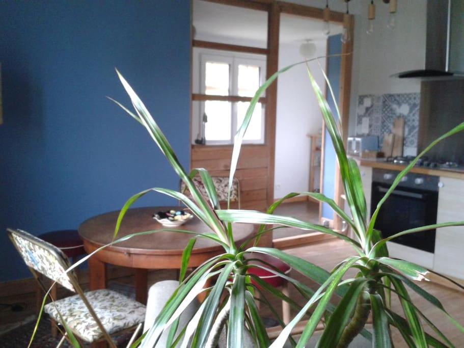 Logement Independant Колмар Екстериор снимка